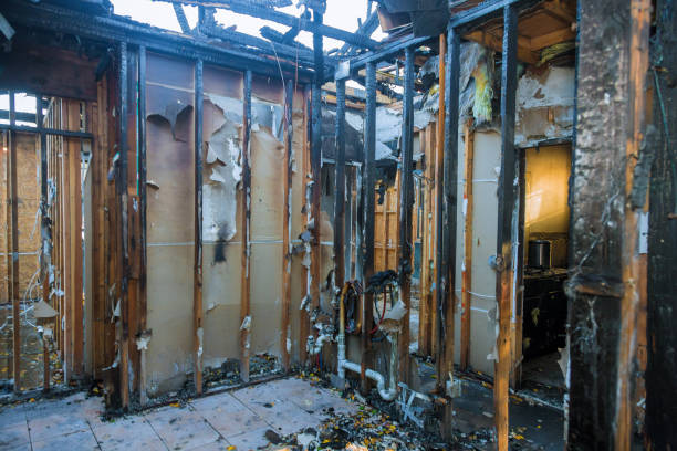 Professional Smoke Damage Removal technician working in Warrington, FL